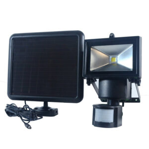 Nature Power Motion  Activated Solar Light